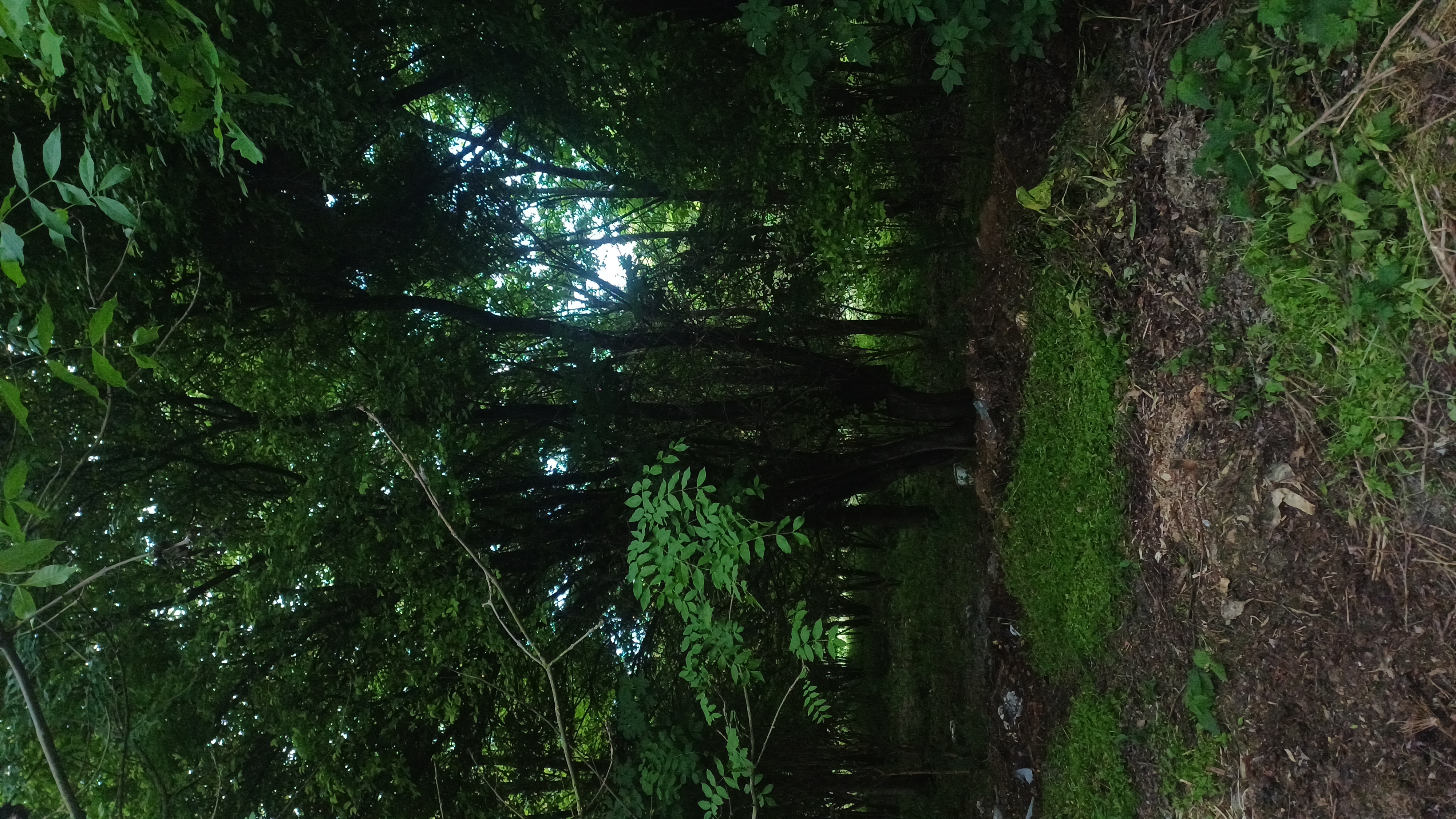 Utazási kép / Travel Image