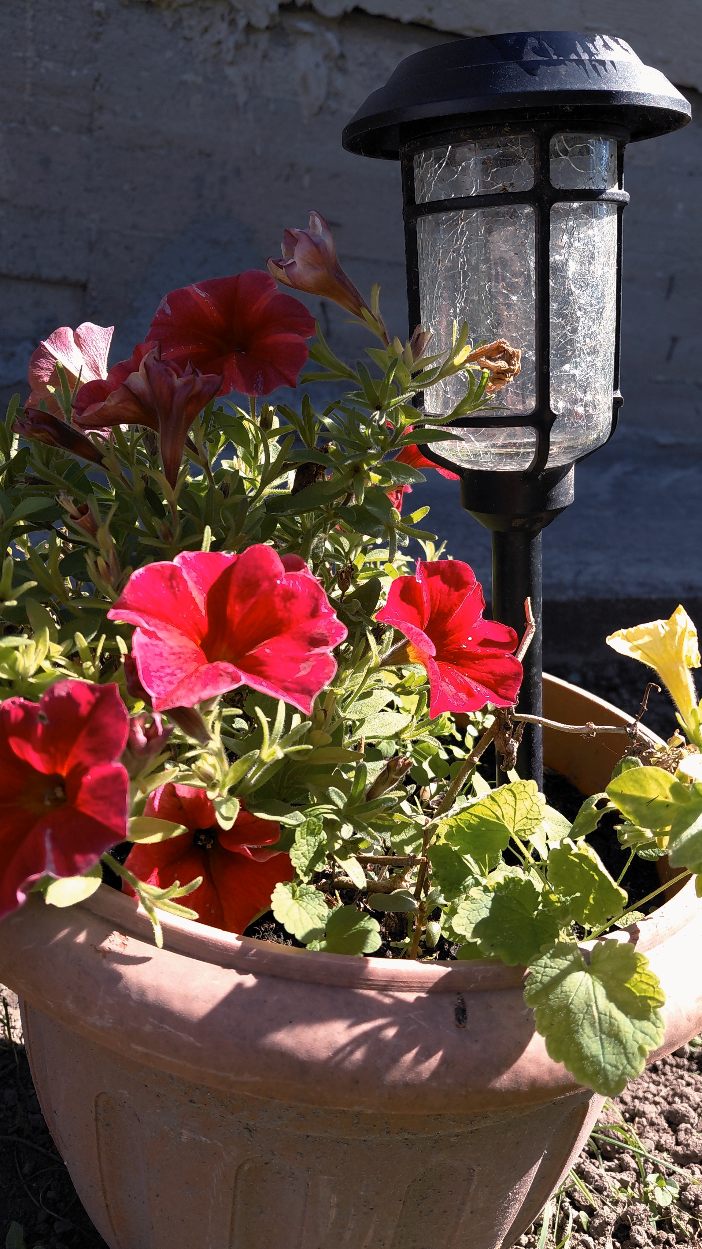 Utazási kép / Travel Image