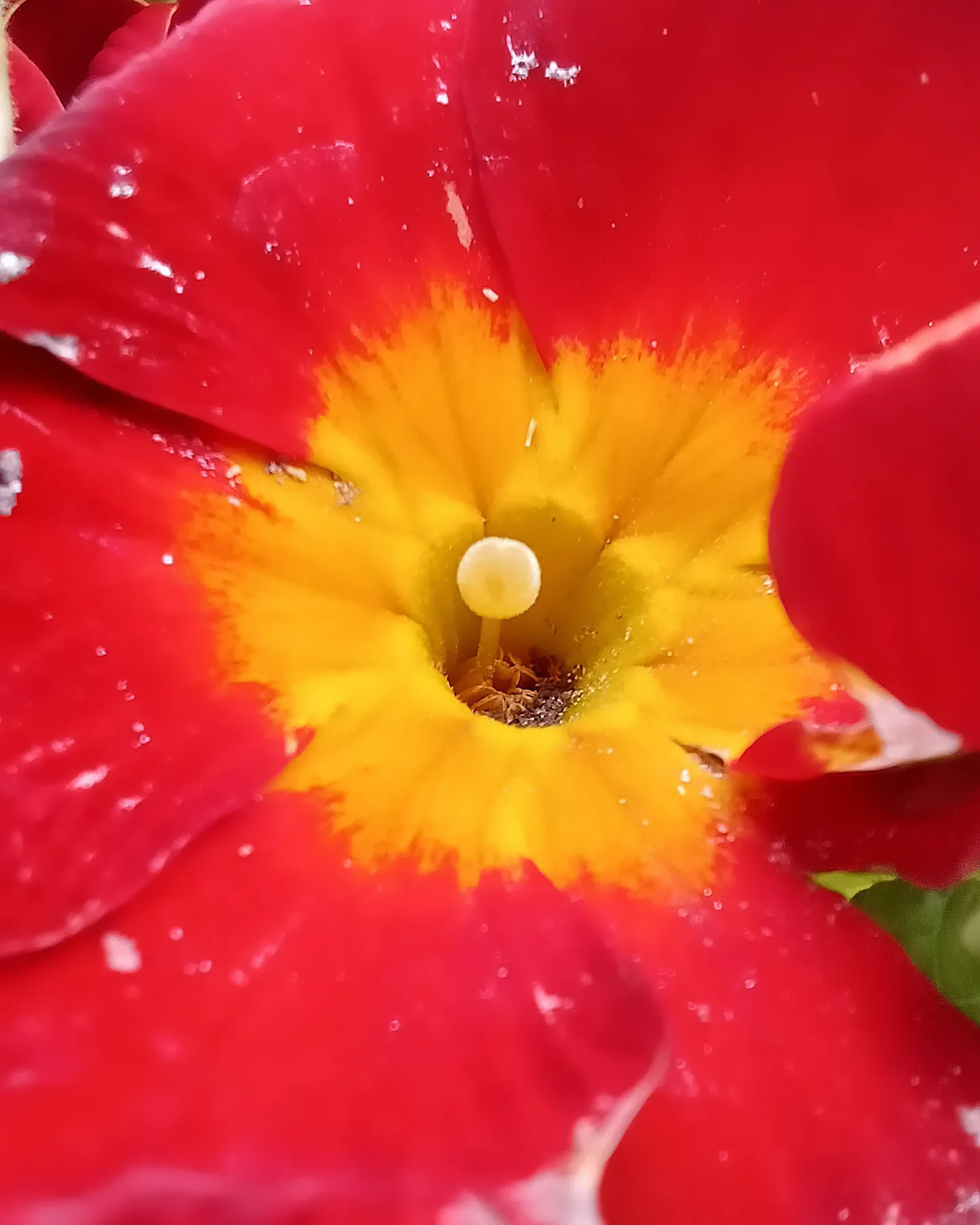 Utazási kép / Travel Image